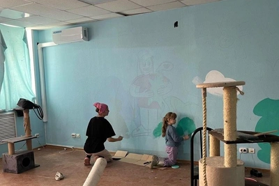 Приют «Счастливый хвост» в Перми переезжает, нужна помощь