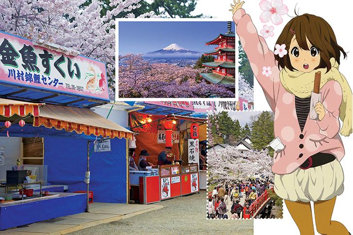 KAWAII (=^･^=) Что нужно знать туристу о Японии?