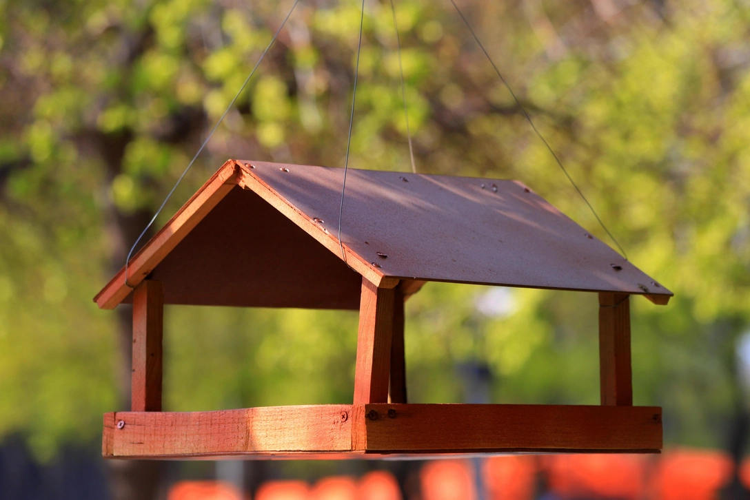 Как смастерить кормушку для птиц | Источник: rospoint/Shutterstock/Fotodom.ru