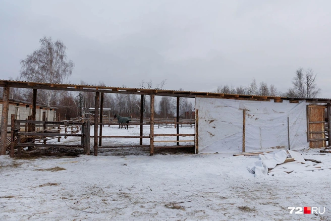 Многие постройки на территории сделаны руками сотрудников и волонтеров | Источник: Ирина Шарова / 72.RU