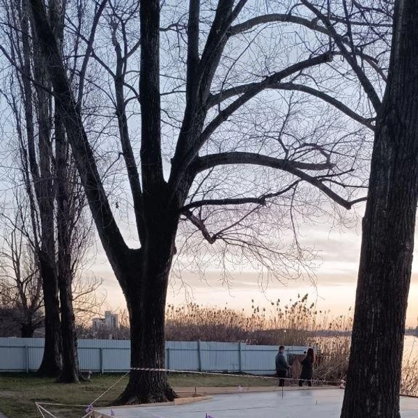 Источник: typodar / T.me