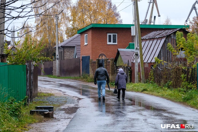 Деревенский вайб | Источник: Булат Салихов / UFA1.RU