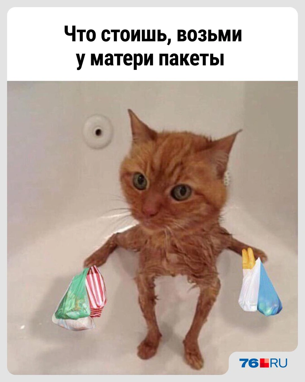 И побыстрее! | Источник: Городские медиа