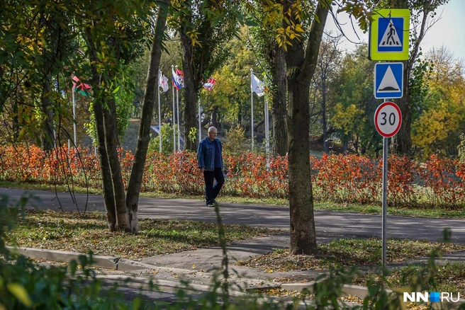 Следующая неделя будет теплой | Источник: Наталья Бурухина / NN.RU