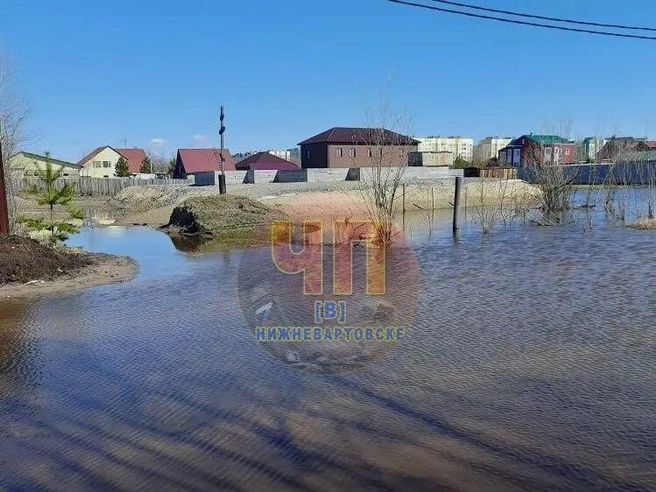 Так выглядят дачи «Казачья слобода» в Нижневартовске | Источник: ЧП [В] Нижневартовске / Т.me