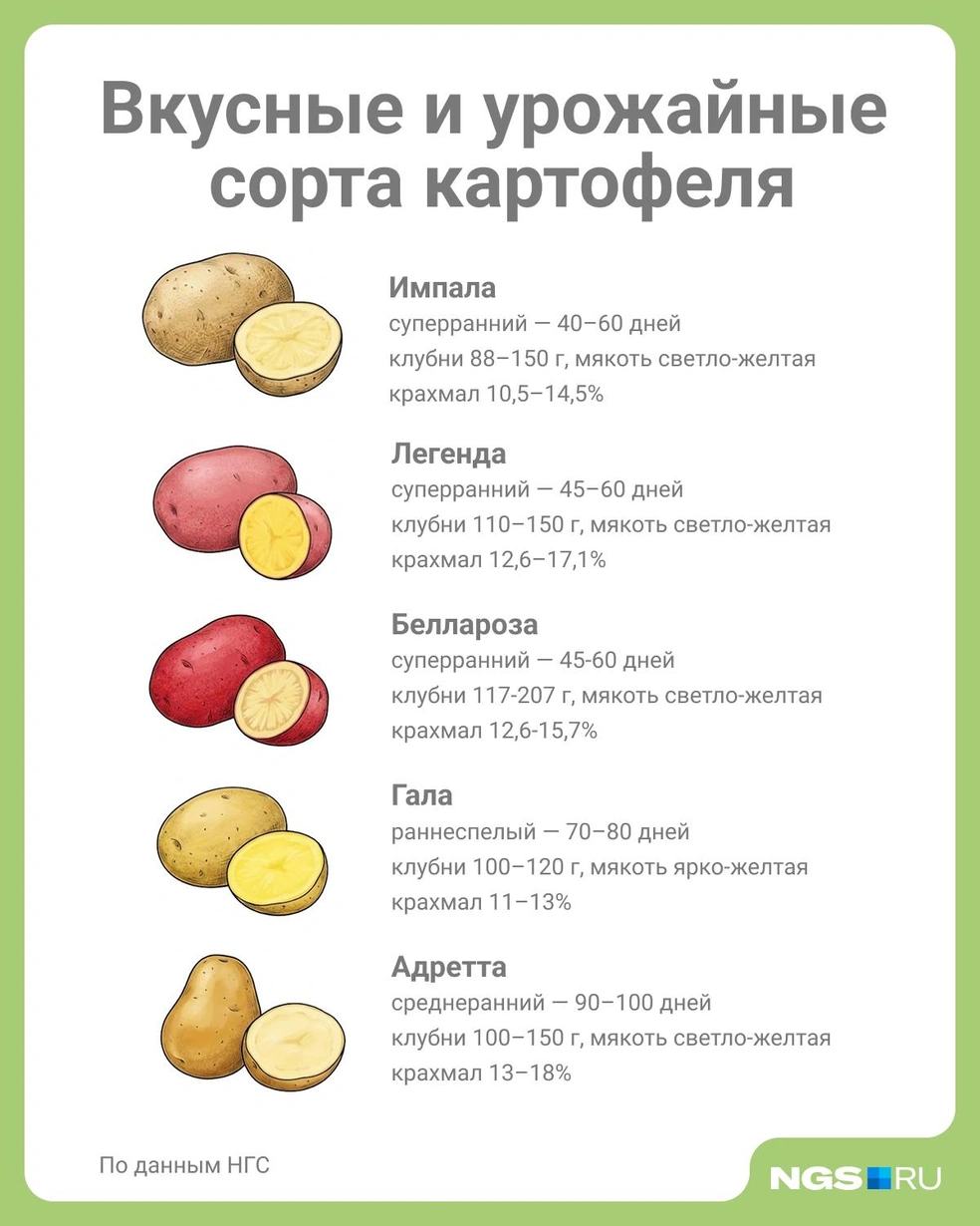 Источник: Юрий Орлов / Городские медиа