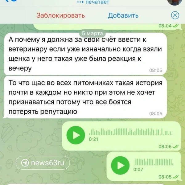 Источник: Дарья Сапова