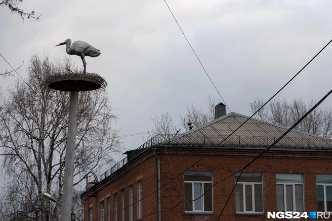 Роды в роддоме будут принимать до конца 2026 года | Источник: Мария Ленц / NGS24.RU