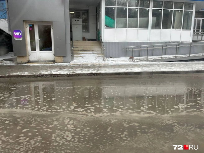 Смотрите, сколько воды на остановке  | Источник: Елена Познахарева / 72.RU 