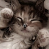 userpic__ksenia02