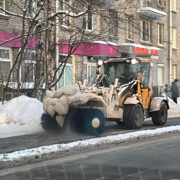 Источник: Комитет по благоустройству СПб