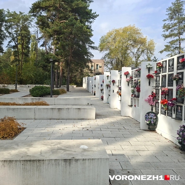 Источник: Алёна Воропаева / Voronezh1.ru
