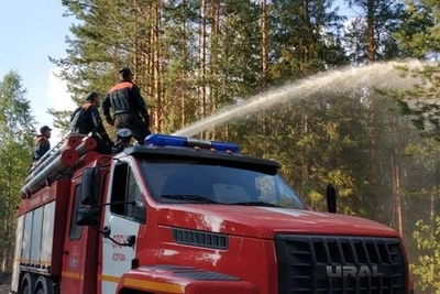 Лесной пожар в Межевском районе локализован