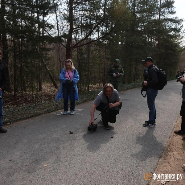 Источник: Валентин Егоршин / «Фонтанка.ру»