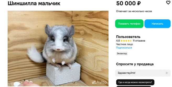 Источник: Авито
