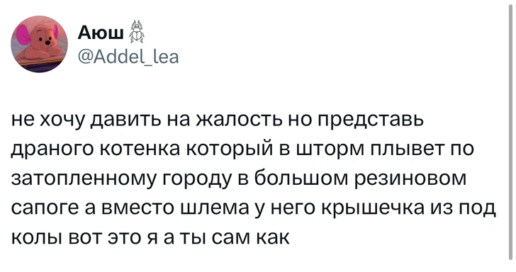 Источник: X (Twitter)