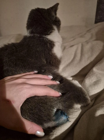 Источник: endless wonder / Telegram