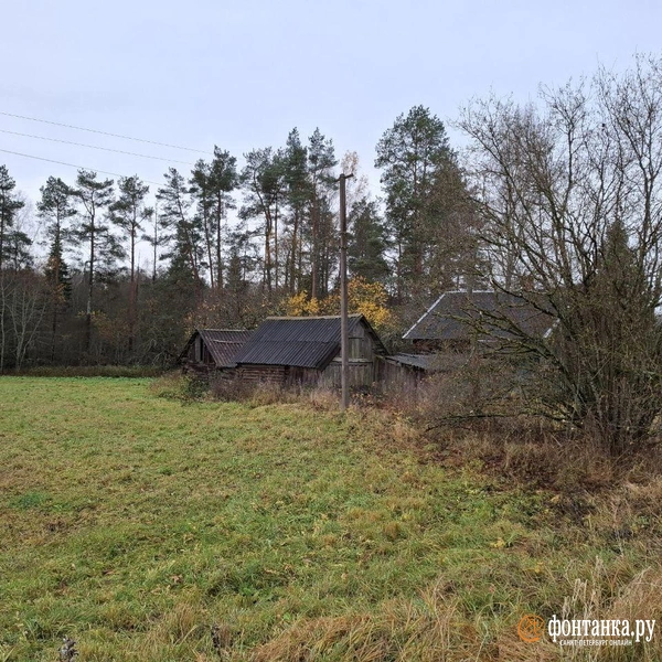 Источник: Ирина Багликова / «Фонтанка.ру»