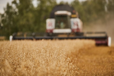 Погода на Ирину-рассадницу подскажет, каким будет лето и урожай