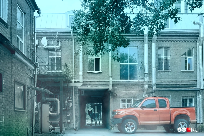 К Белле приехал Джейкоб | Источник: Мария Романова / 93.RU