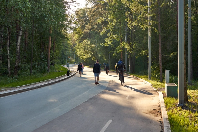 В парке можно арендовать велосипед, а в дождь будет комфортно покататься на экскурсионном гольфкаре | Источник: PRINZIP