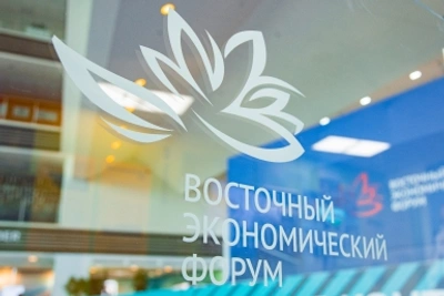 Хосписы для амурских тигров построят в Приморье и Хабаровском крае