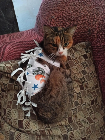 Ада перенесла четыре операции по удалению опухолей | Источник: «Наследие Бастет» / Vk.com