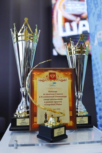 Такие кубки получили победители  | Источник: Ольга Миллер