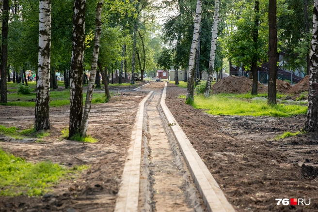 Тропинки будут разных размеров | Источник: Кирилл Поверинов / 76.RU