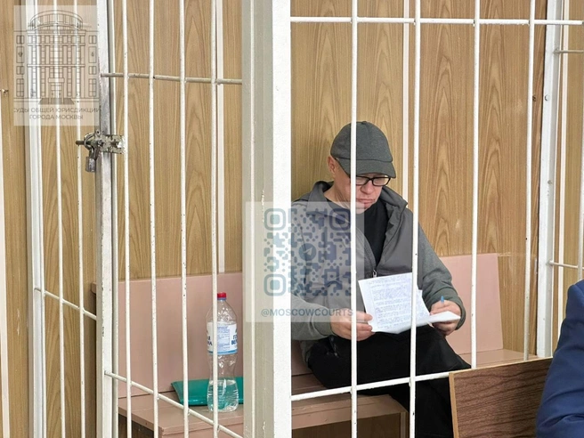 Стало известно, в чем обвиняют экс-главу краевого «Бессмертного полка» и ДОСААФ | Источник: суды общей юрисдикции города Москвы