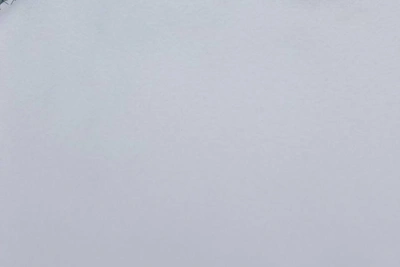 Garden Partnership in Avtozavod District Trapped in Snow for a Week