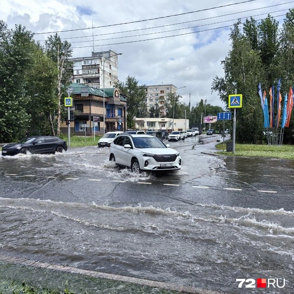 Источник: Павел Красоткин / 72.RU
