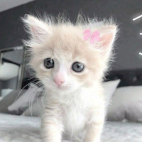 Аватарка 0009