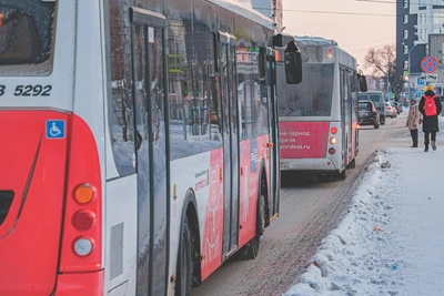 Три автобусных маршрута в Перми изменят из-за ремонта школ