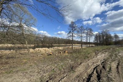 События в Воронеже: интернет, земля и аресты