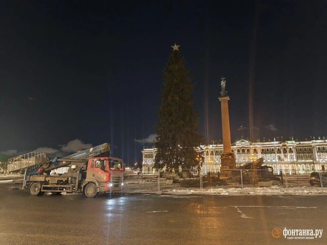 Главную елку Петербурга уже оголили, но еще не распилили. Так дерево выглядит сейчас | Источник: Алина Циопа / FONTANKA.RU