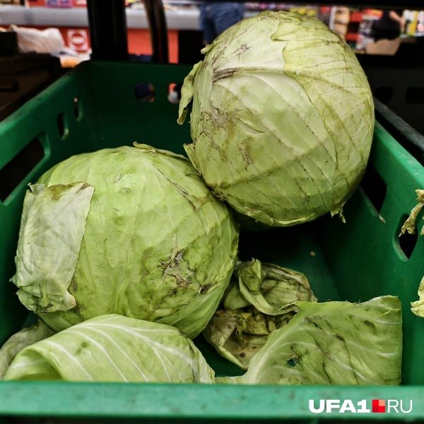 Источник: Булат Салихов / UFA1.RU