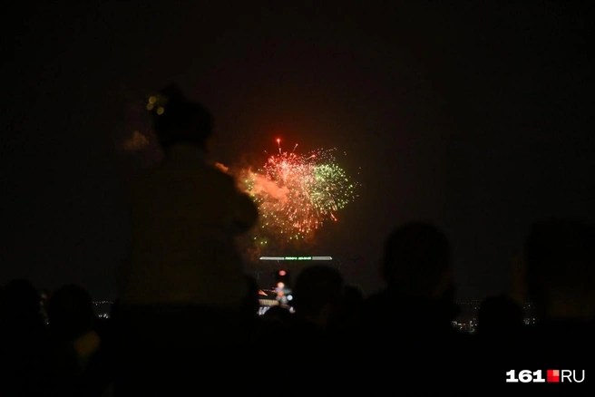 Источник: Евгений Вдовин / 161.RU