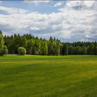 Аватарка Олеся