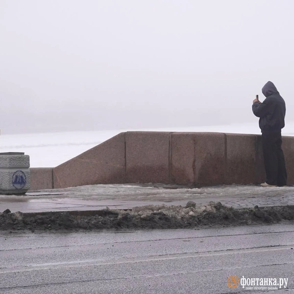 Источник:  Павел Даиси / «Фонтанка.ру