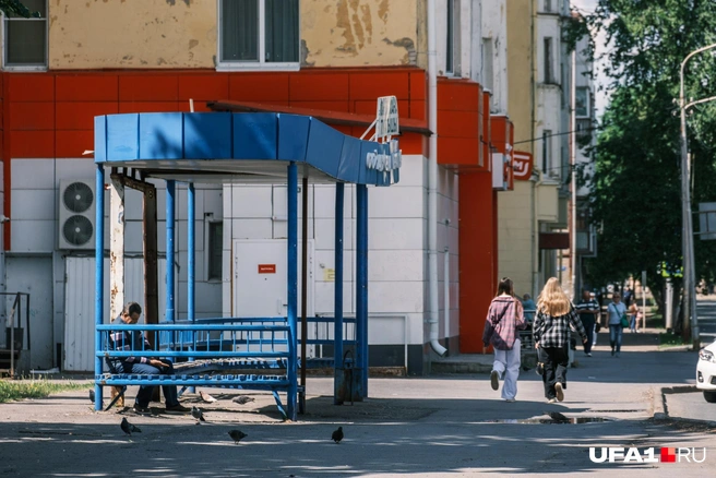 Можно найти массу интересного | Источник: Булат Салихов / UFA1.RU