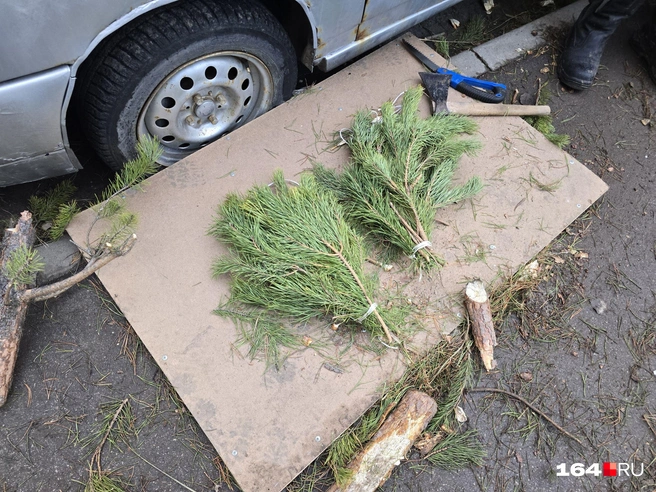 Не пугайтесь, топором вам могут нарубить елочный букет | Источник: Семен Коротов-Майбах / 164.RU