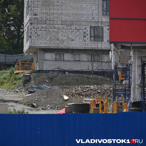 Источник: Елена Буйвол / VLADIVOSTOK1.RU