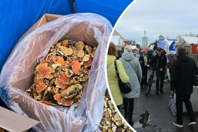 В Архангельске на ярмарке продают сушеные мухоморы
