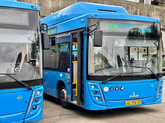 В Сириусе запустили «кольцевой» автобус | Источник: transport_i_dorogi/t.me