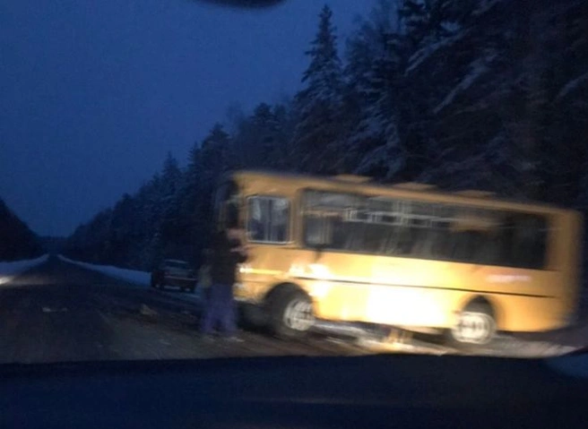 Под Касимовом произошло ДТП с участием школьного автобуса | ya62.ru