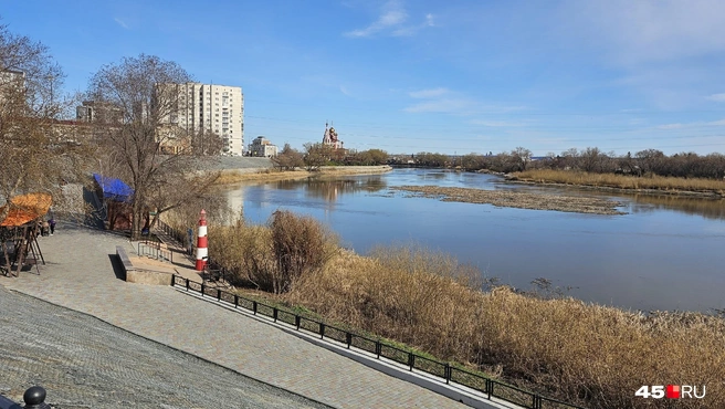 Какой была неделя в Кургане с 20 по 26 апреля | Источник: Дарья Никитченко / 45.RU