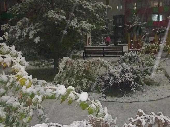 Осень вперемешку с зимой — лирично | Источник: читатель 74.R