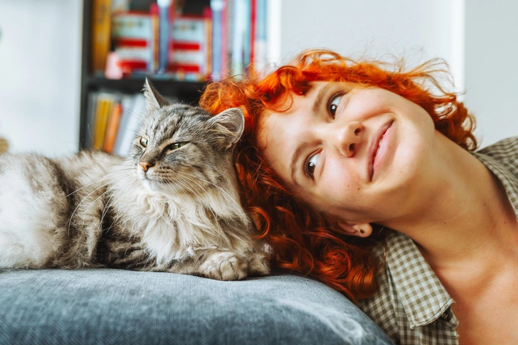 Кошка танцует, кошка кричит: 20 самых ярких снимков лауреатов ежегодной фотопремии 35awards, Всемирный день кошек, смешные фото кошек | Источник: Shutterstock/Fotodom.ru