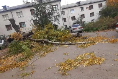 Барнаул ликвидирует последствия шторма